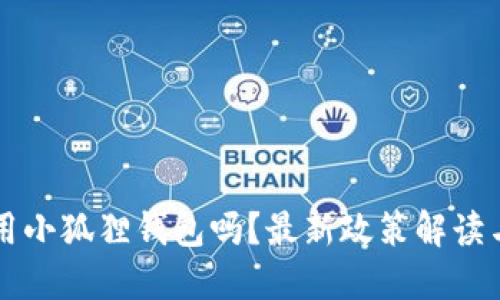 国内还能用小狐狸钱包吗？最新政策解读与使用技巧