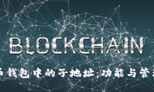 比特币钱包中的子地址:功能与管理指南