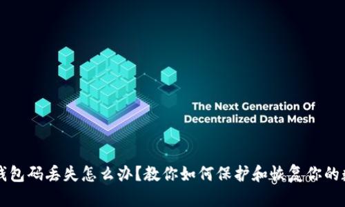 比特币钱包码丢失怎么办？教你如何保护和恢复你的数字资产