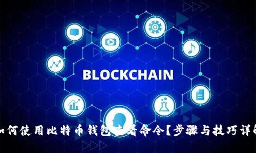 如何使用比特币钱包查看命令?步骤与技巧详解
