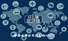 中国有哪些钱包支持USDT？
