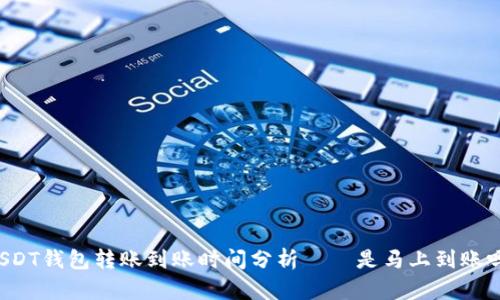 USDT钱包转账到账时间分析——是马上到账吗？