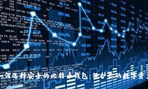 如何选择安全的比特币钱包：保护你的数字资产