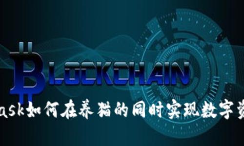 MetaMask如何在养猫的同时实现数字资产管理