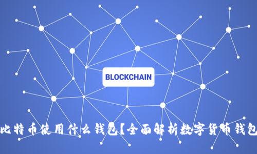 狗币和比特币使用什么钱包？全面解析数字货币钱包的选择