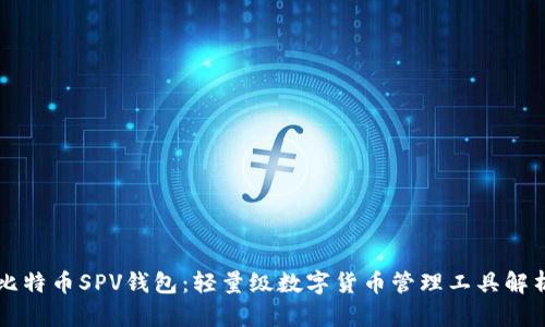 比特币SPV钱包：轻量级数字货币管理工具解析