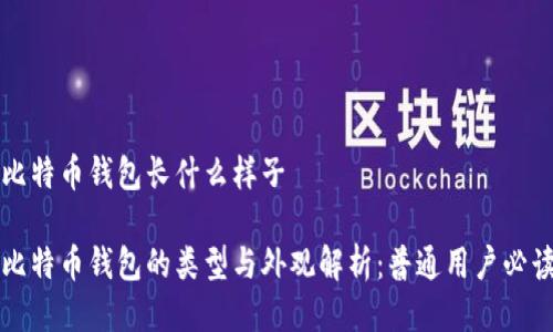 比特币钱包长什么样子

比特币钱包的类型与外观解析：普通用户必读