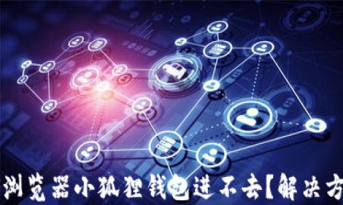 
为什么浏览器小狐狸钱包进不去？解决方法详解