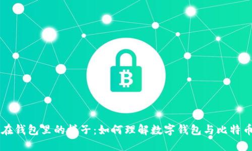 比特币在钱包里的样子：如何理解数字钱包与比特币的关系