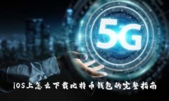 iOS上怎么下载比特币钱包