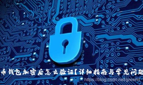 比特币钱包加密后怎么验证?详细指南与常见问题解答