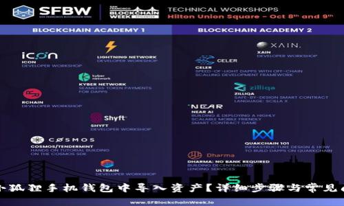 如何在小狐狸手机钱包中导入资产？详细步骤与常见问题解答