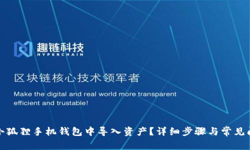 如何在小狐狸手机钱包中导入资产？详细步骤与常见问题解答
