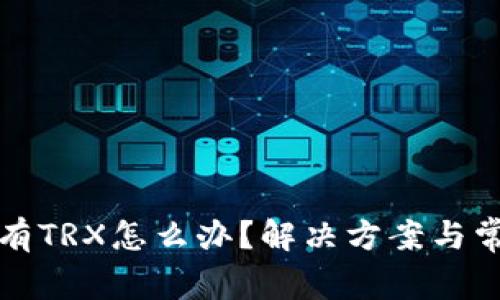 波宝钱包没有TRX怎么办？解决方案与常见问题解答