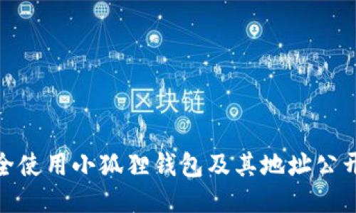 如何安全使用小狐狸钱包及其地址公开的影响