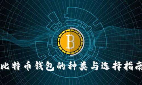 比特币钱包的种类与选择指南