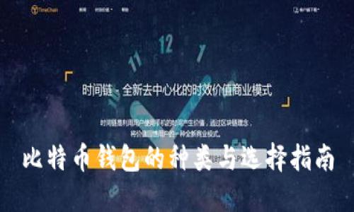 比特币钱包的种类与选择指南
