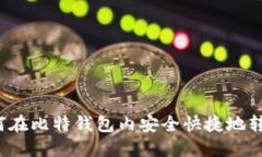 如何在比特钱包内安全快