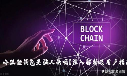 : 小狐狸钱包是骗人的吗?深入解析及用户指南