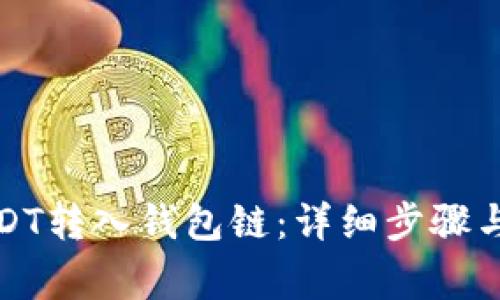 如何将USDT转入钱包链:详细步骤与注意事项