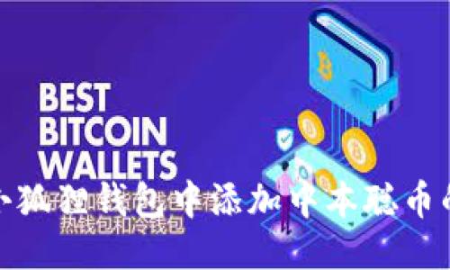 : 如何向小狐狸钱包中添加中本聪币的详细指南