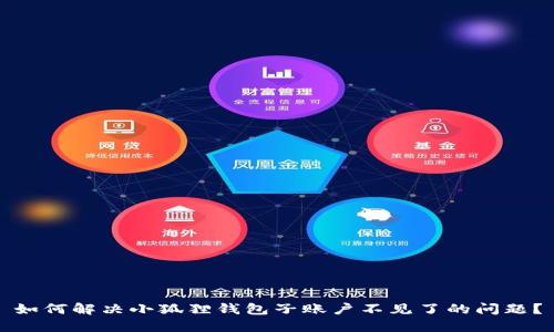 如何解决小狐狸钱包子账户不见了的问题？