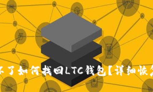硬盘环了如何找回LTC钱包？详细恢复指南