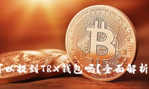 AE币可以提到TRX钱包吗？全面解析与指南