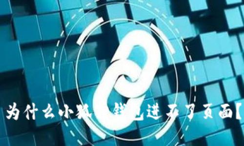 为什么小狐狸钱包进不了页面?