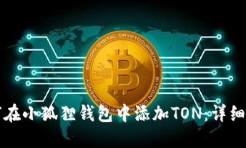 如何在小狐狸钱包中添加TON:详细指南