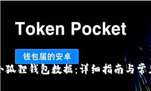 如何导入小狐狸钱包数据:详细指南与常见问题解答