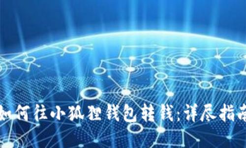 如何往小狐狸钱包转钱：详尽指南