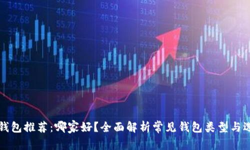 比特币钱包推荐：哪家好？全面解析常见钱包类型与选择技巧
