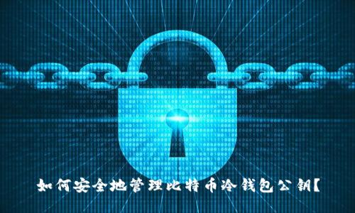 如何安全地管理比特币冷钱包公钥?