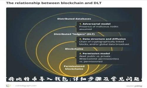如何将比特币导入钱包：详细步骤及常见问题解答