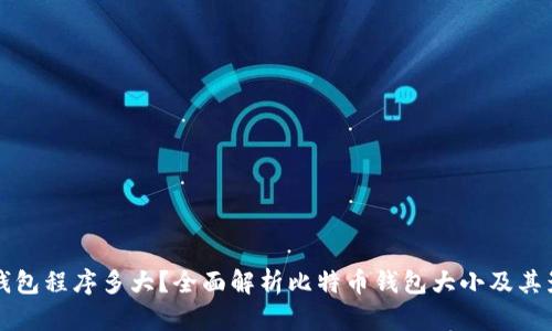 比特币钱包程序多大?全面解析比特币钱包大小及其影响因素