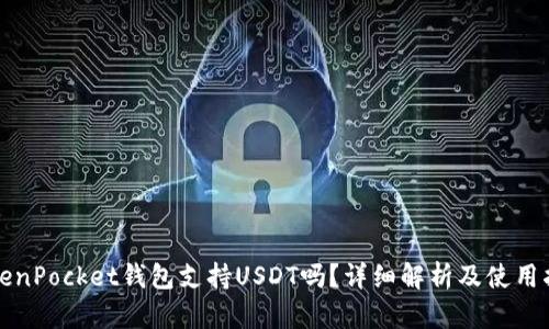 TokenPocket钱包支持USDT吗？详细解析及使用指南