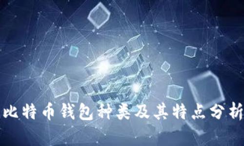 比特币钱包种类及其特点分析