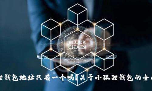 小狐狸钱包地址只有一个吗?关于小狐狸钱包的全面解读