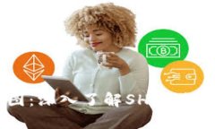 SHIB钱包变化图：深入了解