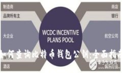 如何查询比特币钱包公钥