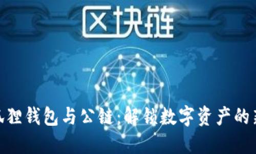 : 小狐狸钱包与公链：解锁数字资产的新机会