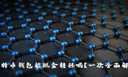 比特币钱包能现金转移吗？一次全面解析