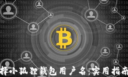 
如何选择小狐狸钱包用户名：实用指南与建议