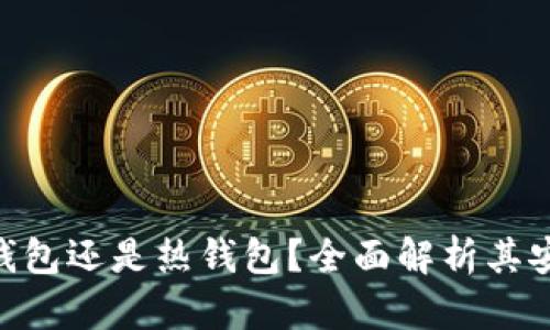 MetaMask是冷钱包还是热钱包？全面解析其安全性与使用场景