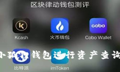 如何使用小狐狸钱包进行资产查询:全面指南