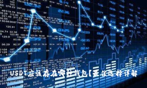 USDT应该存在哪种钱包?最佳选择详解