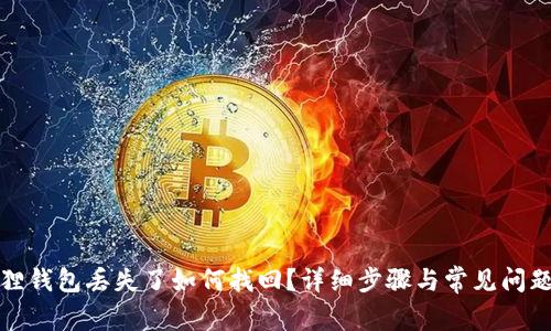 小狐狸钱包丢失了如何找回?详细步骤与常见问题解答