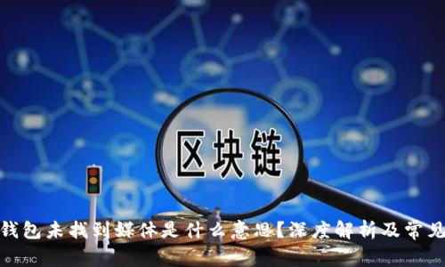 : 小狐狸钱包未找到媒体是什么意思?深度解析及常见问题解答