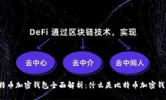比特币加密钱包全面解析